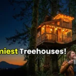 Luxury treehouse rental with suspension bridge in a forest USA.