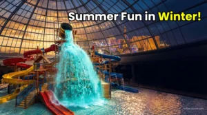 Summer Fun in Winter!